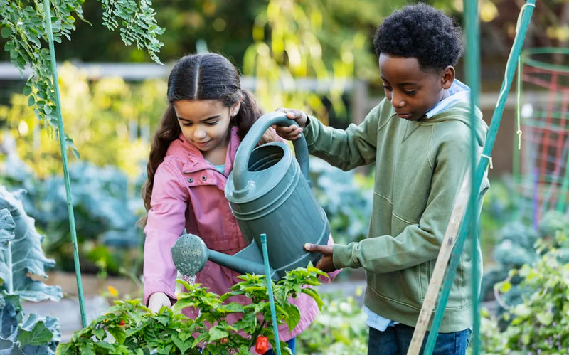 Forest Guardian Membership 🌳